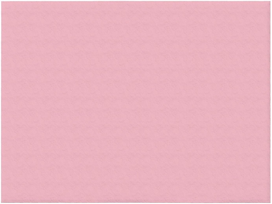 Manta de Flanela Ultramacia Phayah com Estampa Rosa Lisa Ideal para Sofá Cama Sala Estar Escritório e Pausa o