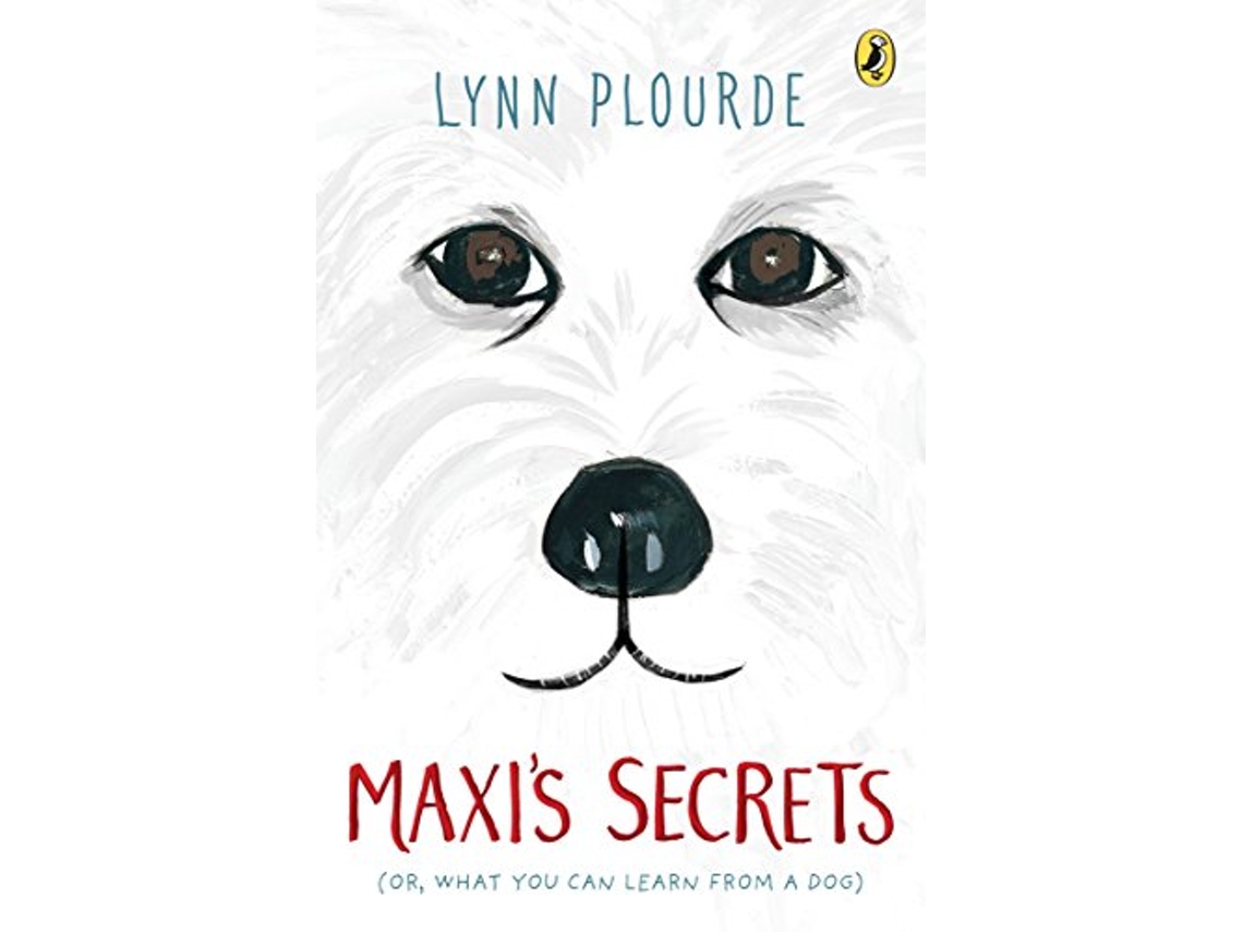 Livro Maxis Secrets de Lynn Plourde (Inglês)