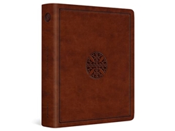 Livro ESV Journaling Bible de Esv Bibles (Inglês)