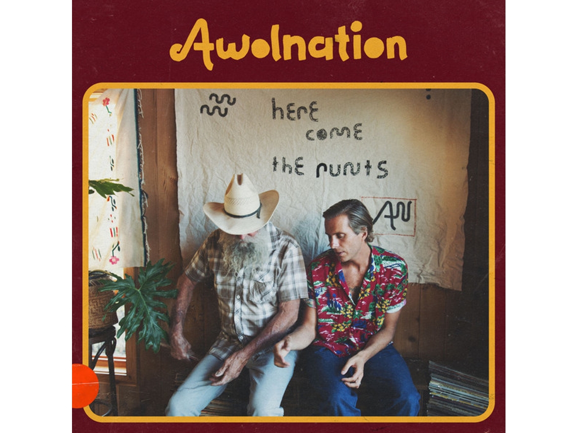 Vinil Awolnation - Here Come The Runts