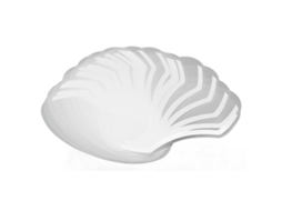 2026 30pcs Protectores Faciales Desechables Transparentes de Plástico para Ducha, Maquillaje Y Salón de Belleza