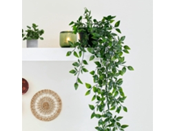 Planta Suspensa Mandura em Vaso BRILVIBERA (80cm)