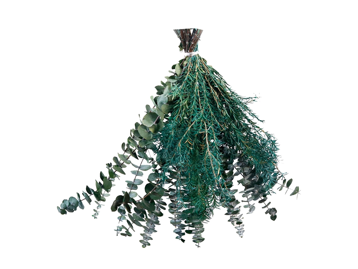 Buquê de Eucalyptus Natural Preservado 40cm LAXISCREED