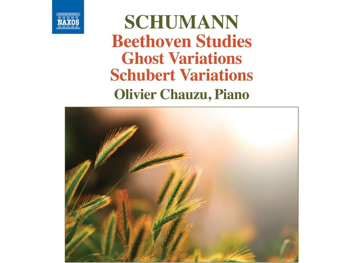 CD Chauzu,Olivier - Beethoven-Etüden/Geistervariationen/+ (1CD)