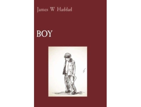 Livro Boy A Race Against Time De Haddad, James Et Al. (inglês)
