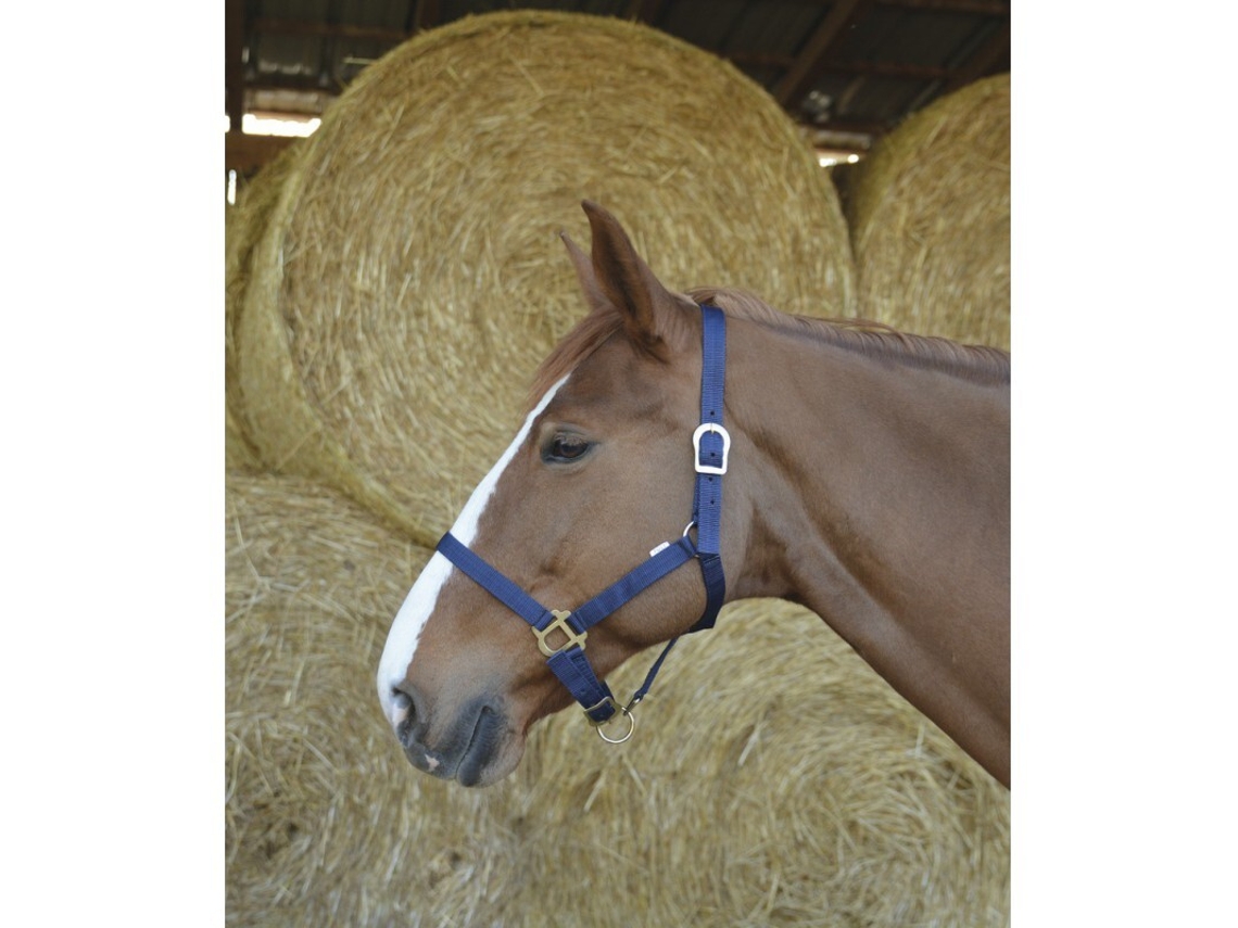 Cabresto de cavalo Riding World
