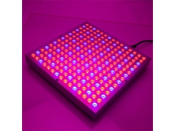 Lâmpada LED UV de espectro completo para cultivo de plantas, por exemplo, para plantas hidropônicas de interior. Brilvibera