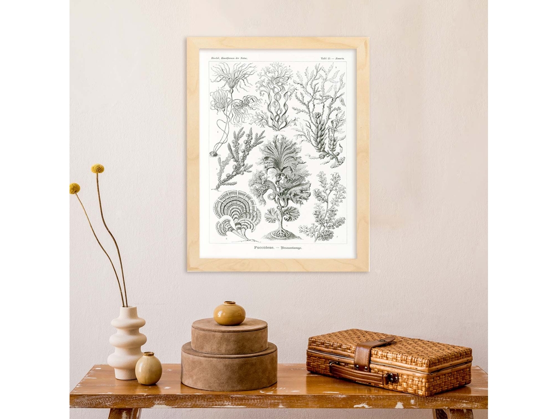 Póster NACNIC com Estilo Vintage Fucoideae