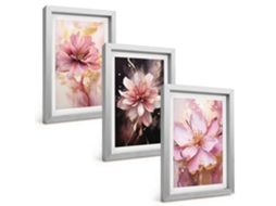 Pinturas Murais Modernascomposições Florais Em Tons De Rosa E Branco Moldura Prateada Fotos Para O Corredor Espelharte (3 Peças 20x30 Cm)