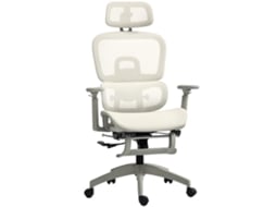 Cadeira de Escritório Ergonômica em Tela Mesh Reclinável com Apoios 3d e Apoio de Cabeça Ajustável, Bege ZACHARY