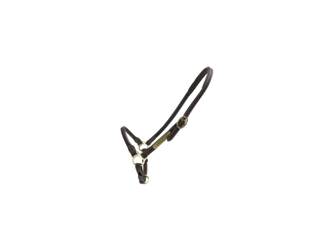 Cabresto de couro para cavalos Kentucky
