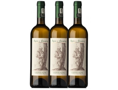 Pojer e Sandri Sauvignon Vigneti delle Dolomiti 75 cl (Caixa de 3 unidades)