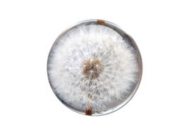 Laxiscreed Bola De Cristal Dandelion 80mm Com Base Chata Para Fácil Posicionamento