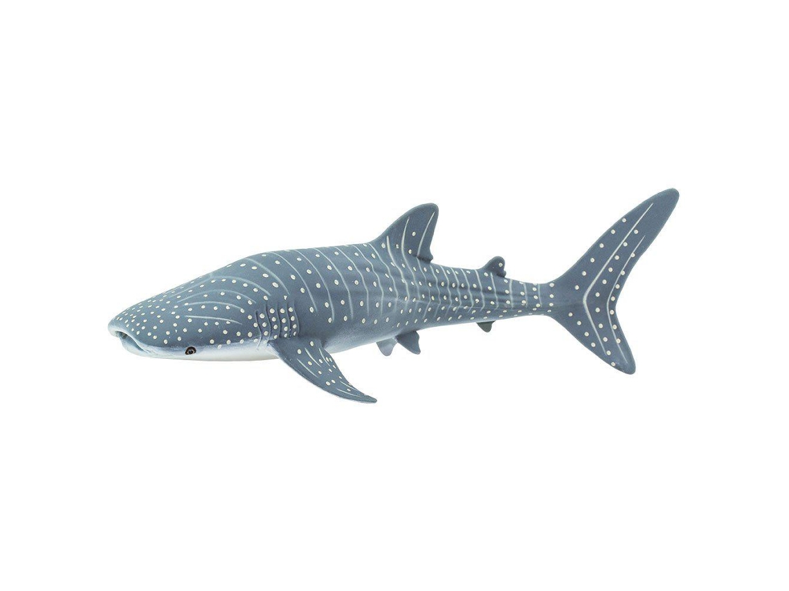SAFARI Whale Shark Sea Life