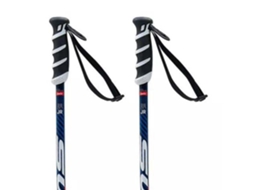 SWIX Poloneses Wc Pro Sg Junior Prateado 110 cm