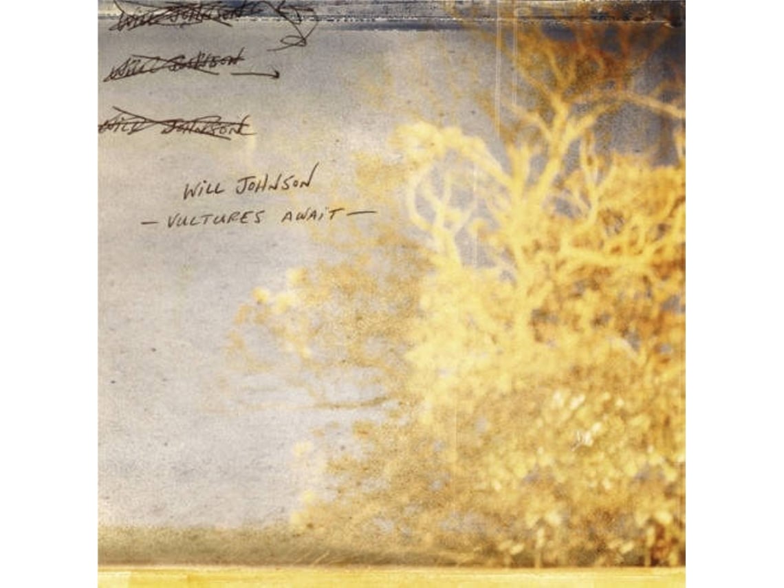 Vinil LP Will Johnson - Vultures Await