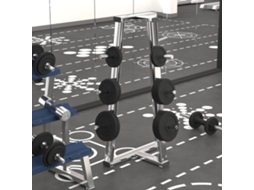 Vidaxl Discos De Musculação 6 Pcs 30 Kg Ferro Fundido
