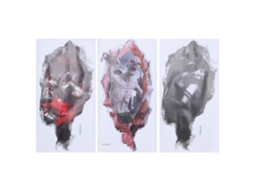 3pcs Adesivos De Parede Zumbi Horror Halloween