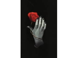 Mão Rosa 9788865270592 BRILVIBERA