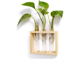 Vaso de parede de vidro com base de madeira para plantas, terrário moderno, vaso, adequado para ambientes internos 2025
