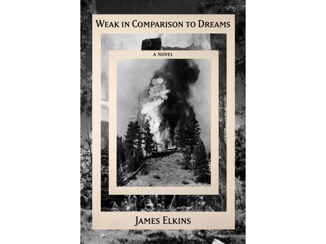 Livro Weak in Comparison to Dreams de James Elkins (Inglês - Capa Dura)
