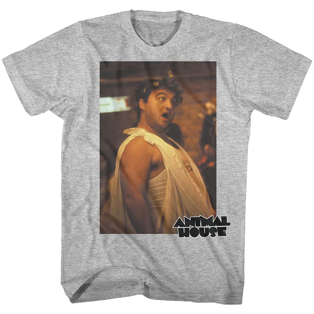 Rockinstone Animal House Movie Toga Photo Heather Gray Adult T-shirt Size:m