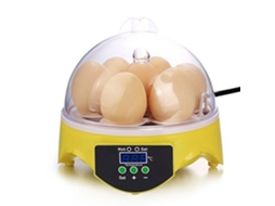 Incubadora Digital Automática Para 7 Ovos Com Função Automática