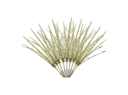 Decoração de Natal Folhas de Ouro Flores Pinhas LAXISCREED