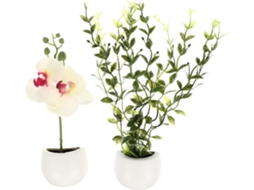Ímã De Geladeira Criativo Hohopeti Com Plantas Artificiais, 2 Peças, Verde, Enfeite Magnético Para Decoração De Cozinha