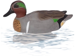 Iscas Artificiais para Caça de Patos, Aves Aquáticas Realistas, Isca Flutuante para Patos, Acessórios Antiderrapantes, CHABERLU