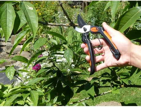 Tesoura de Jardim Primus Masculina Comprimento: 205 Mm GARTEN PRIMUS