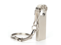Pen Drive Usb em Forma de Pata LAXISCREED