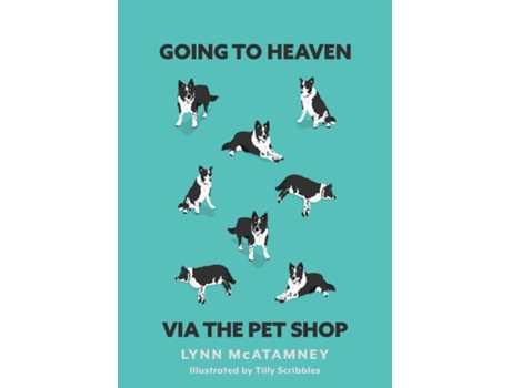 Livro Going To Heaven Via The Pet Shop De Lynn Mcatamney (inglês)