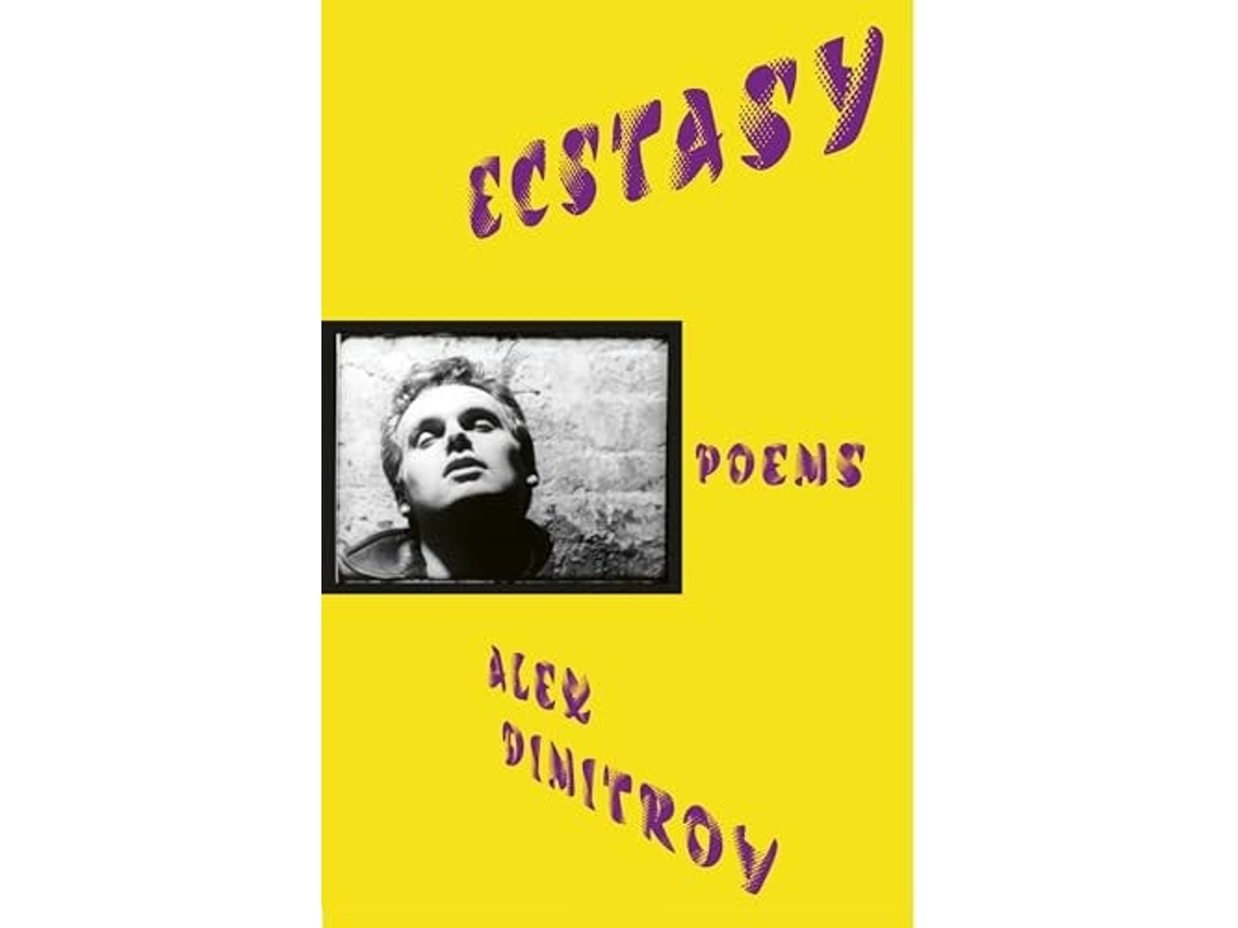 Livro Ecstasy De Alex Dimitrov (inglês)