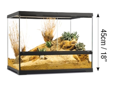 Terrário de vidro Exo Terra Pro médio 60x45cm