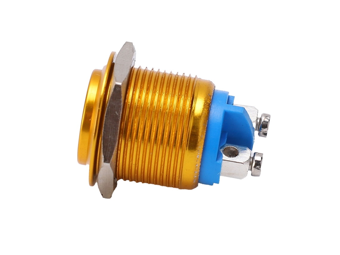 Interruptor de Botão Metal Oxidado Autorenovável