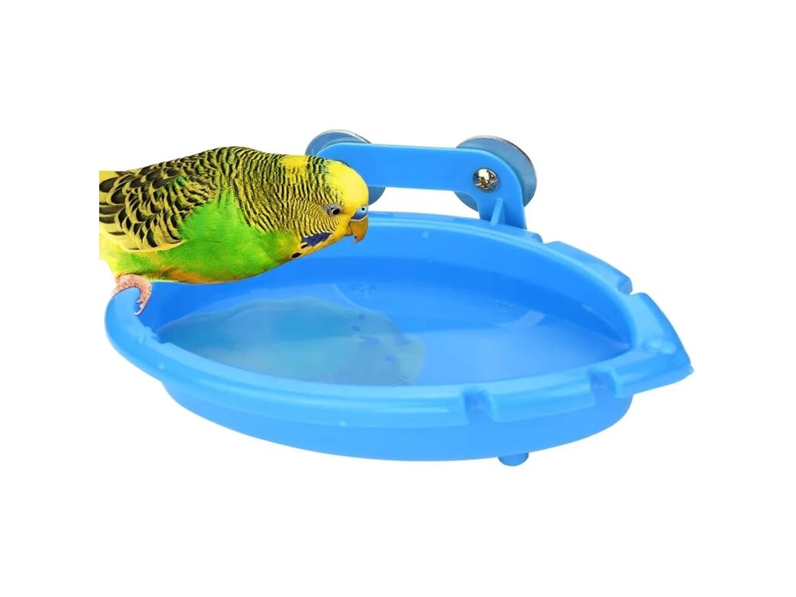 Alimentador automático AQUAFORGE para galinhas, acrílico, transparente
