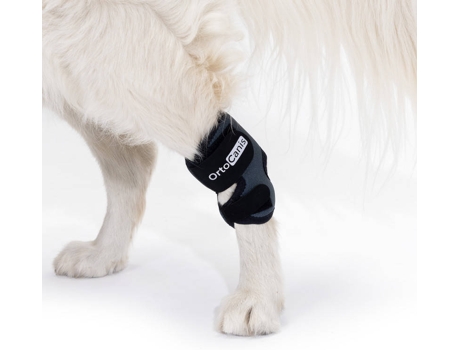 Suporte de Tarso para Cão ORTOCANIS