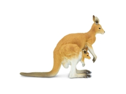 SAFARI Kangaroo With Joey