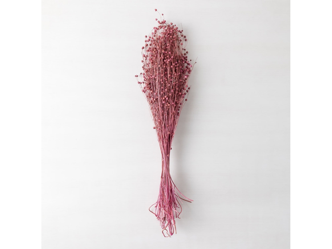 SKLUM Ramos Secos Decorativos Bairad Fibra Vegetal Ameixa Rosa
