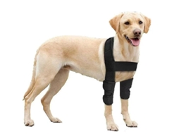 2026 protector de Codo Respirável para Cães com Suporte para Artrite, Displasia e Feridas no Codo e Ombro