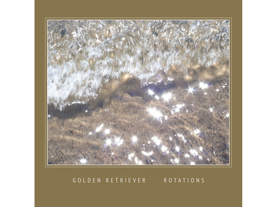 Vinil Golden Retriever  - Rotations