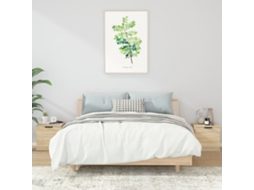 Vidaxl Mesas De Cabeceira 2 Pcs 40x39x40 Cm Carvalho Sonoma