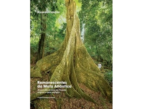 Livro Remanescentes Da Mata Atlântica As Grandes Árvores Da Floresta Original E Seus Vestígios De Ricardo Cardim (português - Capa Dura)