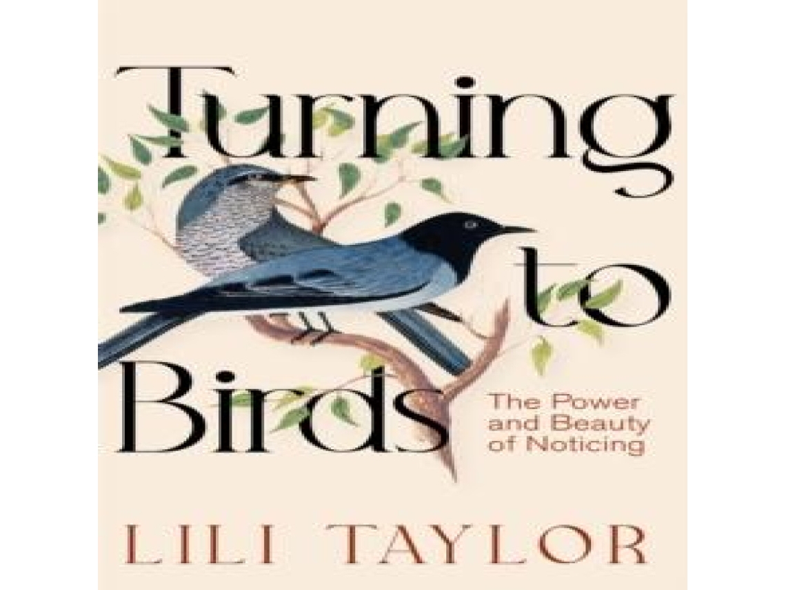 Livro Turning to Birds de Lili Taylor (Inglês)
