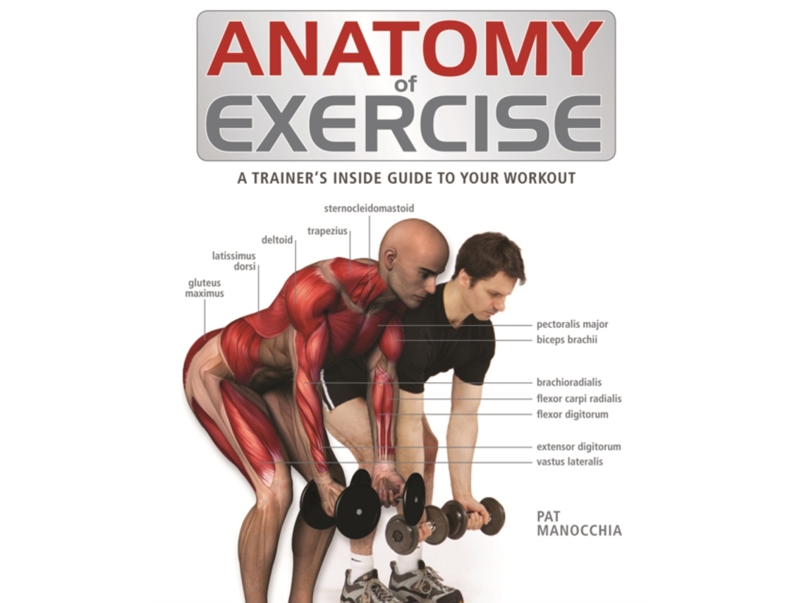 Livro Anatomy of Exercise de Pat Manocchia (Inglês)