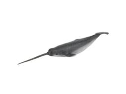 Ats figura de Narval de Plástico Sólido Modelo de Animal Marino Juguete Educativo para Crianças