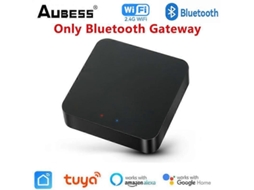 Planador de asa fixa com controle remoto Fx 803 2.4g 2ch com MARCA