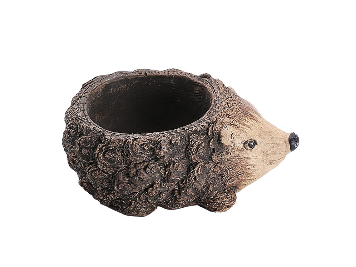 Vaso de Suculenta Raiz de Árvore para Decoração Creativa