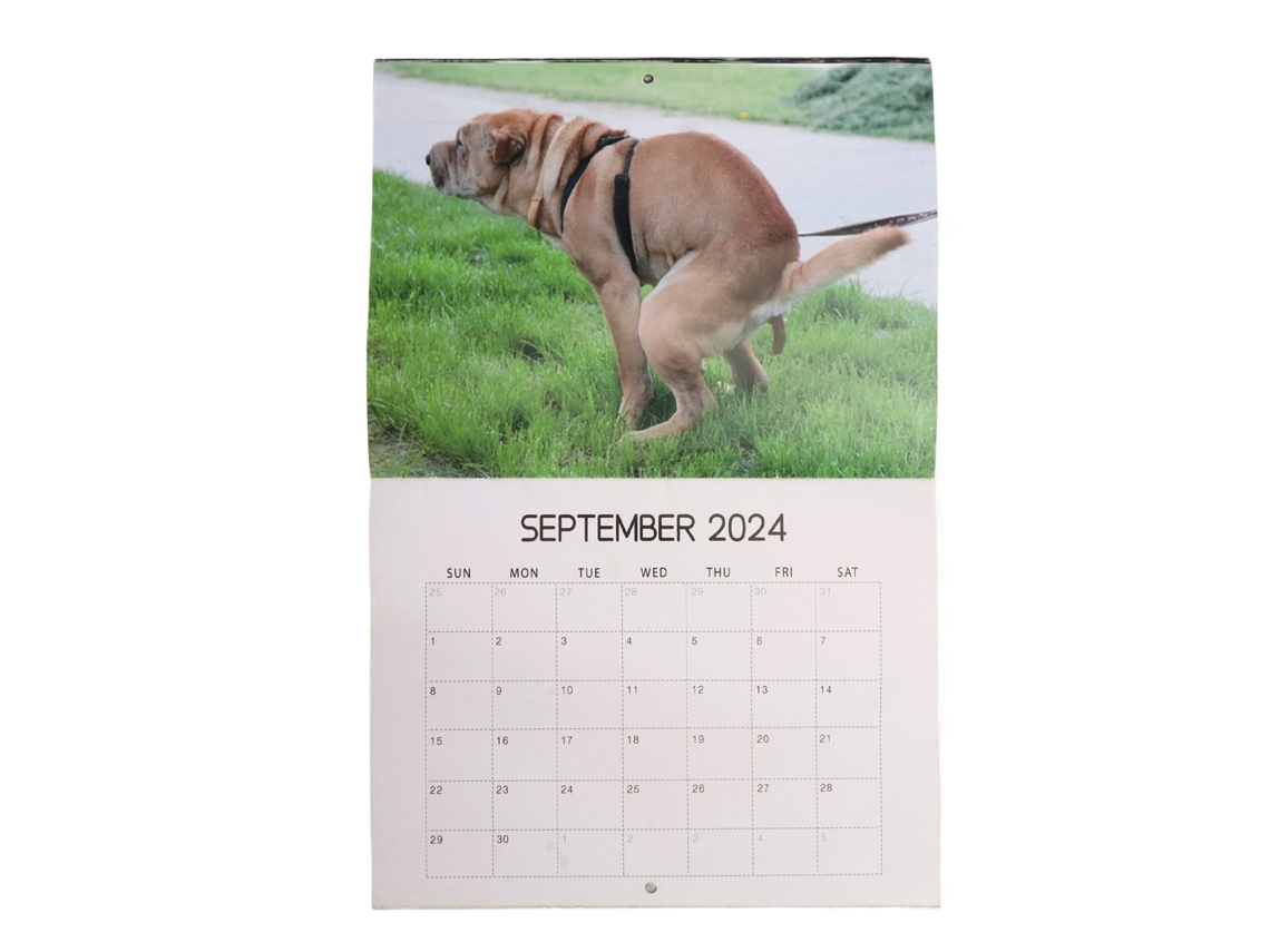 Calendário De Parede Divertido 2024 Com Cachorro Fazendo Caca Bloco De Escrita 12 Meses Para Casa Escola Escritório